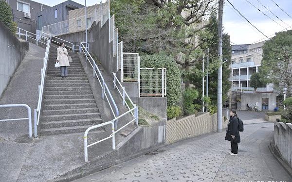 「日本國民女神」鈴木保奈美認了：完美母親不存在！做了18年便當如今反省自我