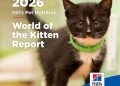 終身健康藍圖：Hill’s《World of the Kitten Report》助獸醫團隊及寵物主人掌握關鍵首年發展