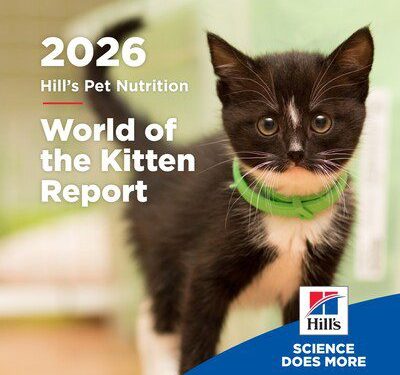 終身健康藍圖：Hill’s《World of the Kitten Report》助獸醫團隊及寵物主人掌握關鍵首年發展