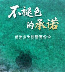最新黃巖島生態紀實片《不褪色的承諾》發布